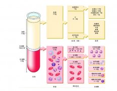 -30℃～-80℃血漿蛋白低溫冷凍庫(kù)規(guī)范，冷庫(kù)安裝價(jià)格