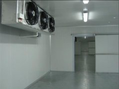 建造一個普通冷庫2500立方造價需要多少錢